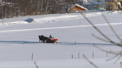 Kutschenfahrt mit Gästen