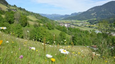 4 Herrliche Aussicht bis Kitzbühel