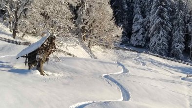 Winter  Spuren im Schnee, © Haus Hubert