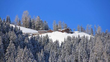 nahe gelegene Feilalm im Naturpark Karwendel, © Appartement Koller