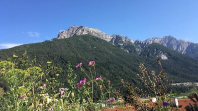 Blick auf den Sonnenstein