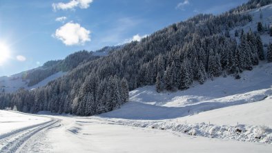 Rettensteinhütte_Anfahrt_Winter_Hintenbach_02