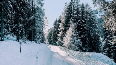 Wolf-Apartments-verschneite-Strasse-Wintereinbruch