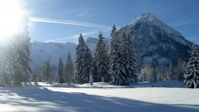 Aussicht von der Pension zum Tristenkopf, © Pension Bergheim