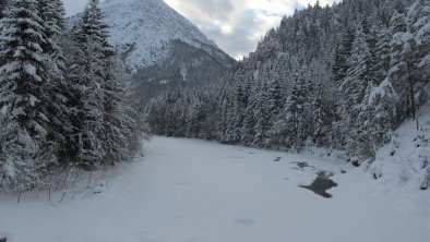 Bilder 2017 winter 007