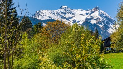 Ausblick verschneiter Grünberg