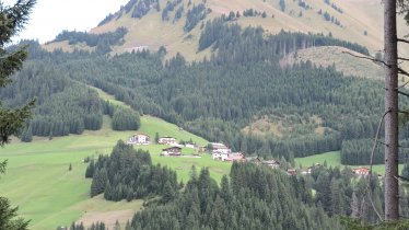 Hausberg Hönig