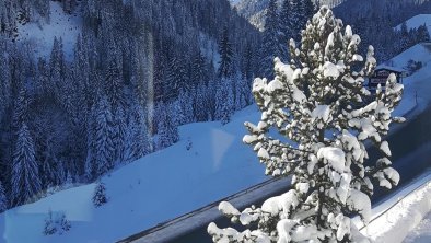 Ausblick_Haus_Auer