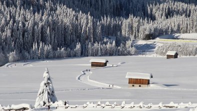 Langlaufen November 2019 - Obertilliach, © Schneider Hansjörg