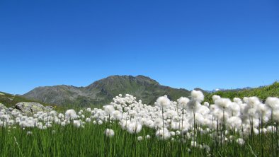 Kröndlhorn Kelchsau