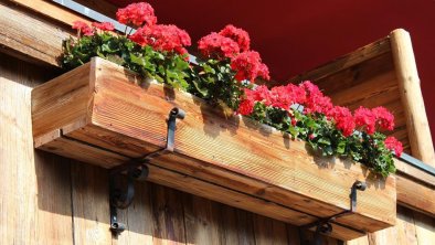 Balkon mit Zugpitzblick  und  Blumen