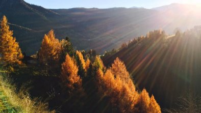 goldener Herbst in seiner Pracht, © H. S. Wilhelmer