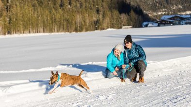 Urlaub-Hund-Alpenhotel-Tyrol-05