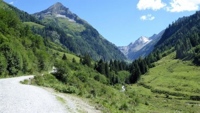 ...wunderschöner Wanderweg ins Wimmertal