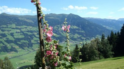 Blick ins Zillertal