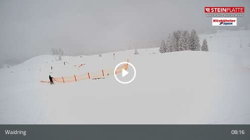 Webcam Snowpark / Triassicpark