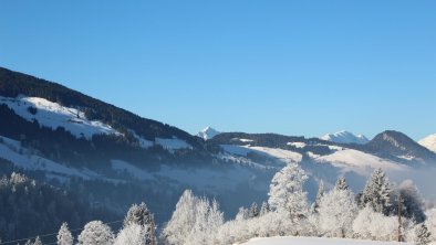 Moahof Appartements Alpbach, Winterwald, © Klingler Sandra