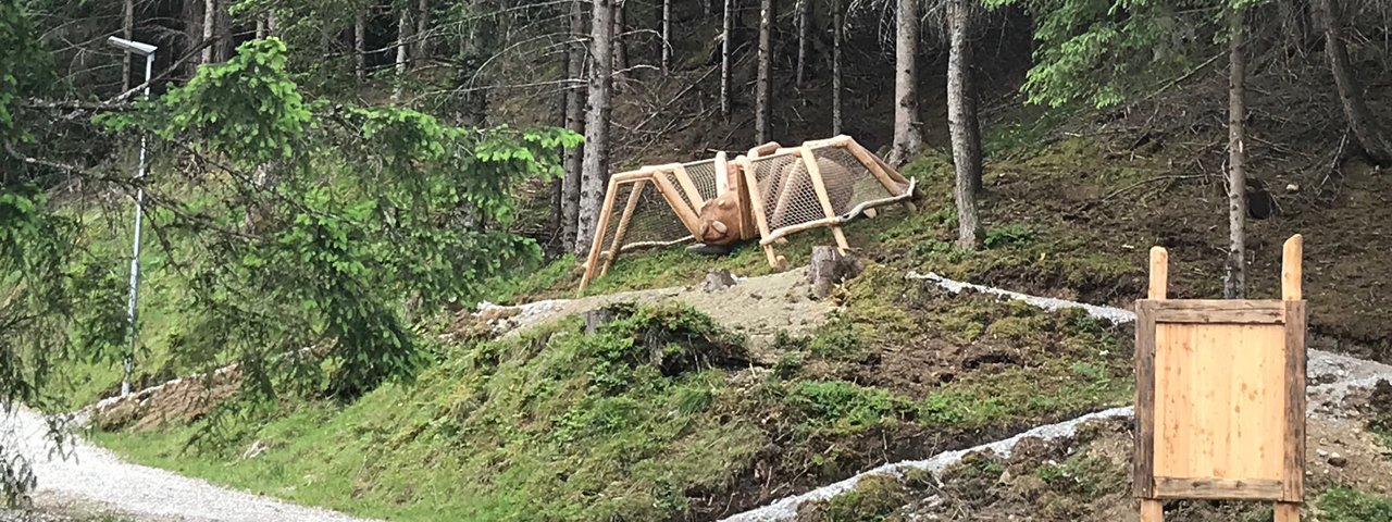 Waldtierweg, © TVB Stubai