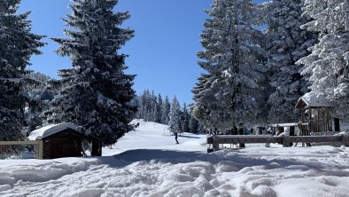 schöner Wintertag