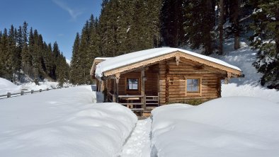 Chalet ALMNEST in Hochfügen