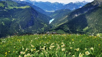 Alpenblumenberg Hönig