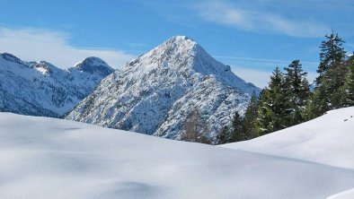 Aussicht vom Stangleggerhof - der Bärenkopf