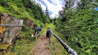 Leitenwald mit Buck und Drax., © im-web.de/ DS Destination Solutions GmbH (eda3 TOL)