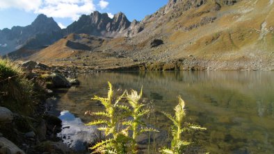 Bergsee