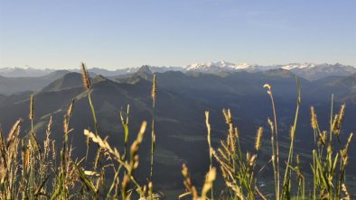 Blick zu den Hohen Tauern