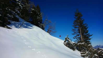 Winterlandschaft / Hahnenkamm