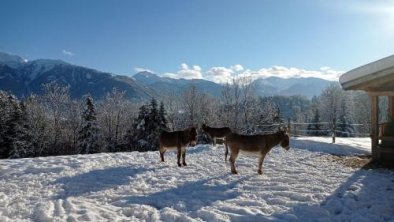 Holiday home near Wolfsklamm River, © bookingcom