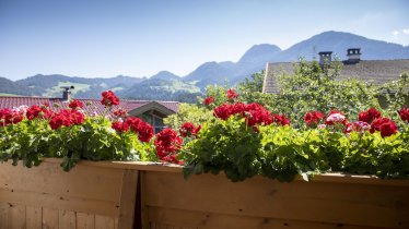 Haus Sylvia, Reith im Alpbachtal, Aussicht, Sommer, © Matthias Sedlak