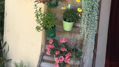 Blumen vor dem Haus, © Haus Schlosskeller