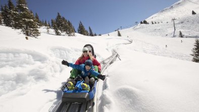 Alpine Coaster "Lauserland" im Alpbachtal