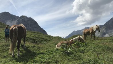 Almzeit Wandern