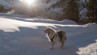 c-Natur-Residenz-Anger-Alm-Severin-Wegener-HUndeho