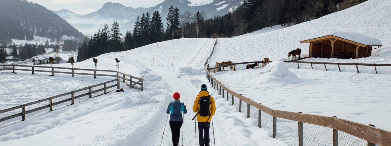 Winterwandern auf dem geräumten Römerweg