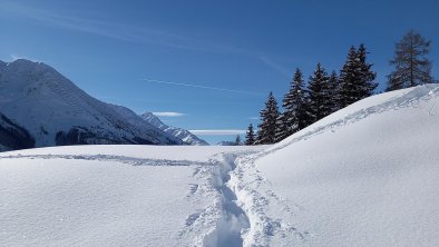 Schneeschuhwandern auf der Nessleralm