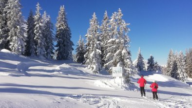 Schönblick_Alpbachtal_Winterlandschaft, © Haus Schönblick