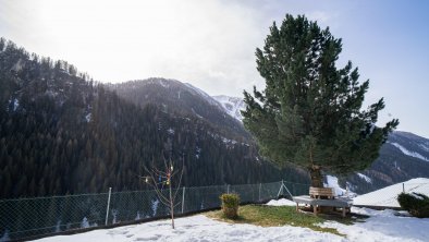 Alpenblick Navis - Garten