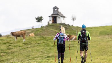 Wanderbilder Shoot & Style Wildschönau 2019 FG Sau