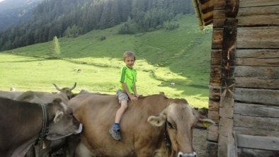 Bauerhoferlebnis Sommer und Winter