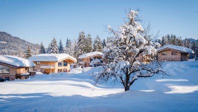 Winteraufnahme Chalets Grosslehen