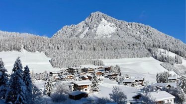 Winter Wiesengrund omgeving