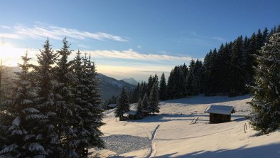 Chalet Julia Winter Schneespur, © Angela Stöckl