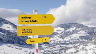 Winter Niederau Wanderschilder Wildschönau Rechte