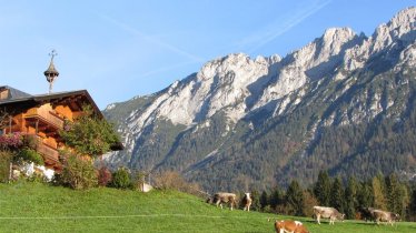 Hirschbichlhof mit Wilder Kaiser