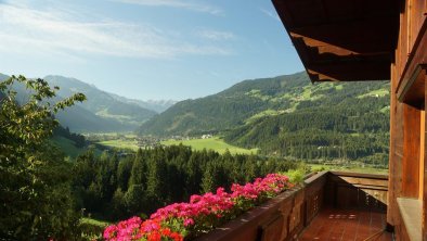 Blick vom Balkon Sommer 1