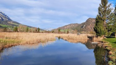 Walchsee Zulauf