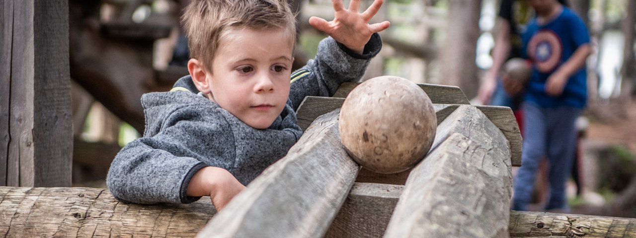 Im Kugelwald am Glungezer, © TVB Hall Wattens